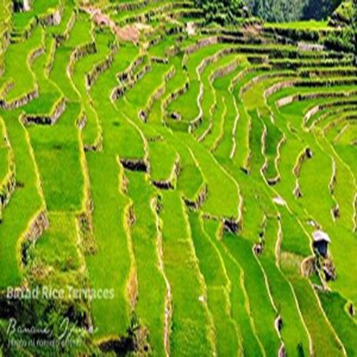 Travel idea in Batad Rice Terreces