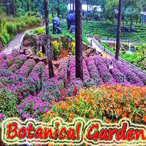 Tourist spot in Baguio City