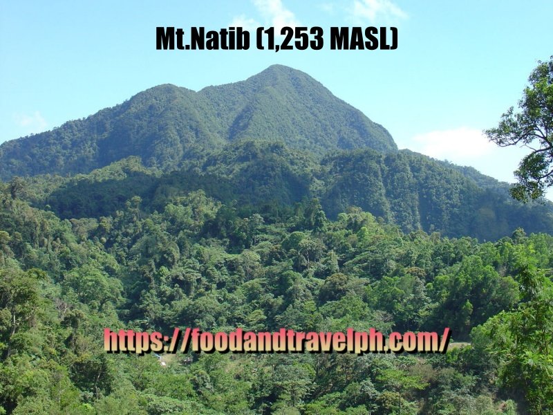 Mt.Natib in Bataan