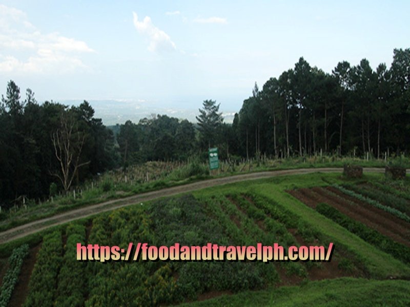 Eden Nature Park and Resort and its attractions
