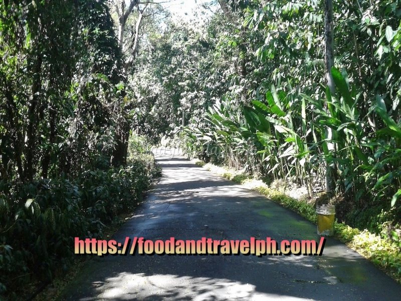 La Mesa Eco Park biodiversity in the city