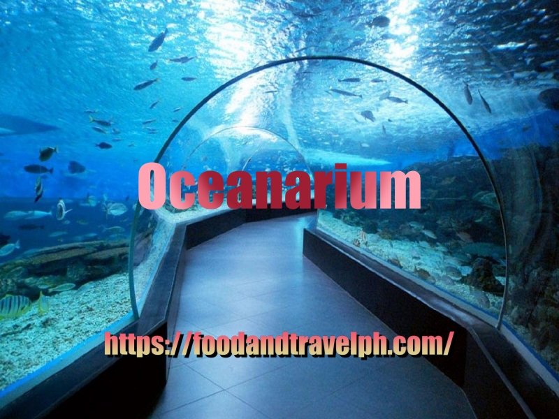 Manila Ocean Park attractions