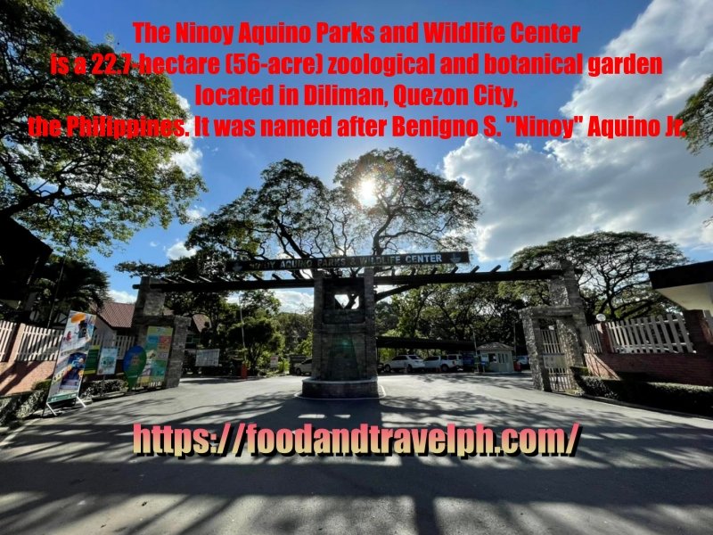 Exploring THe Ninoy Aquino Parks and Wildlife and Nearby Attraction in Quezon City