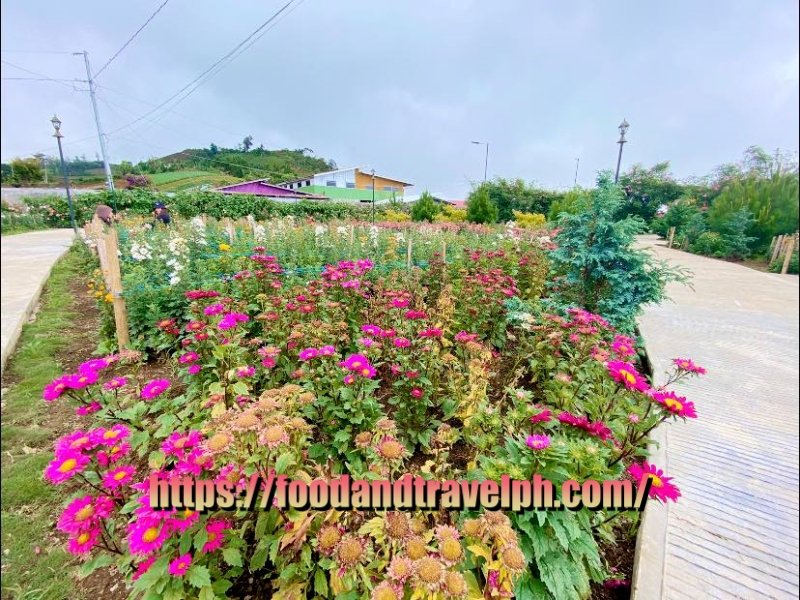 Apo Flower Garden Mountain Resort nature lover