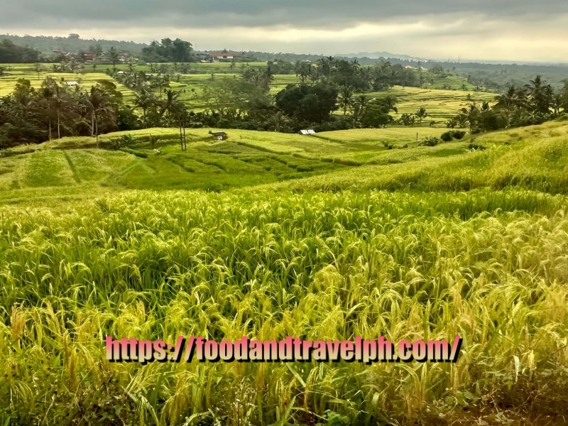 Top Must-Visit Attractions in Bali, Indonesia