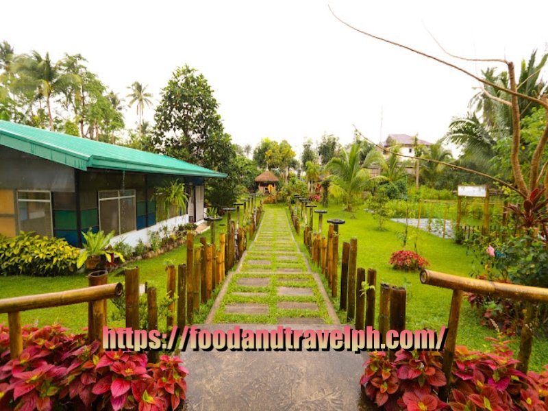 Discovering Serenity: A Journey Through Gintong Bukid Farm and Leisure