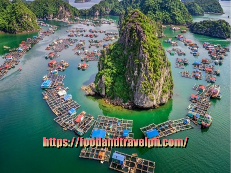 Exploring Vietnam: Scenic Spots, Savory Flavors, and a Cozy Stay